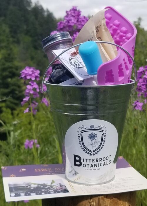 Elder-Beary Gummy Kit