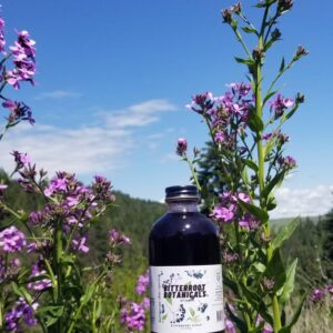 Wildcrafted Elderberry Syrup 20 fl. oz