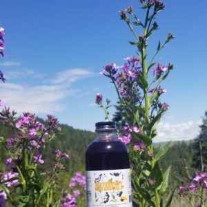 Elderberry with Local Wildflower Honey 9 fl. oz.