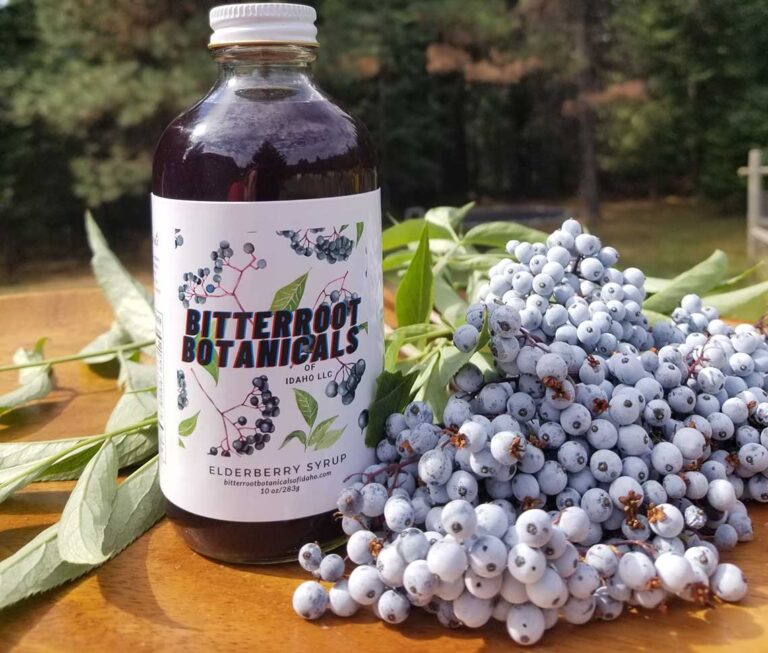 10 ounce elderberry syrup