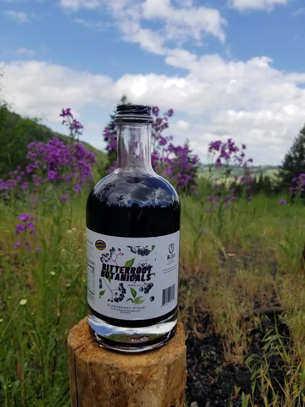 Wildcrafted Elderberry Syrup - 30oz