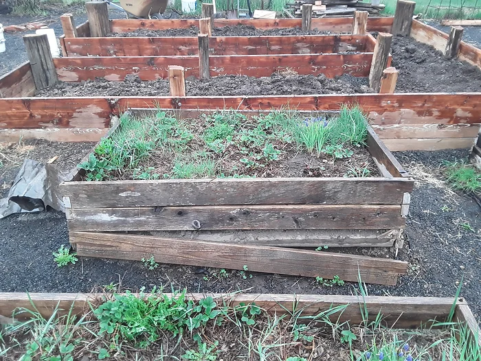 Raised Bed Garden Photo