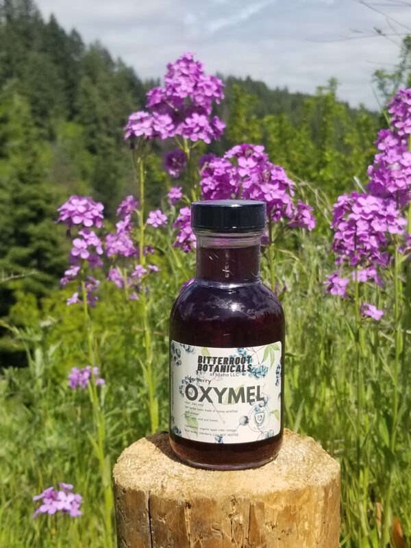 Elderberry Oxymel 8oz.