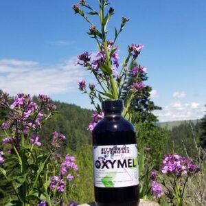Elderberry Oxymel 8oz.