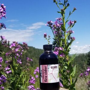 Elderberry Fire Cider