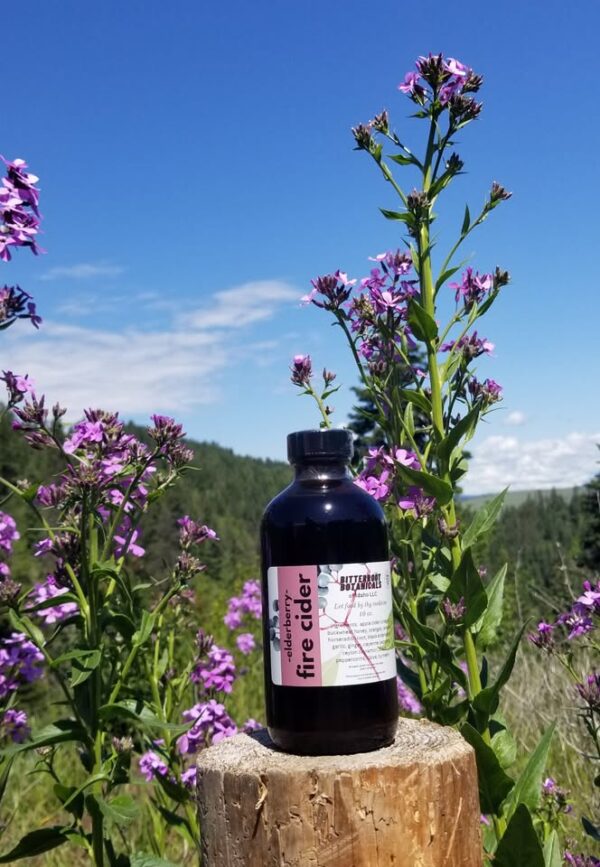 Elderberry Fire Cider