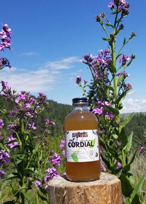 Elderflower Cordial 9 0unce