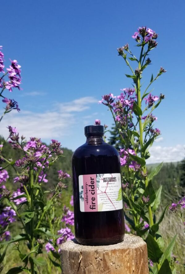 Elderberry Fire Cider 18 ounce