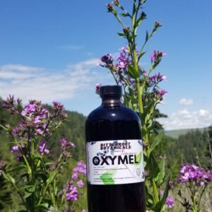 Elderberry Oxymel 18 ounce