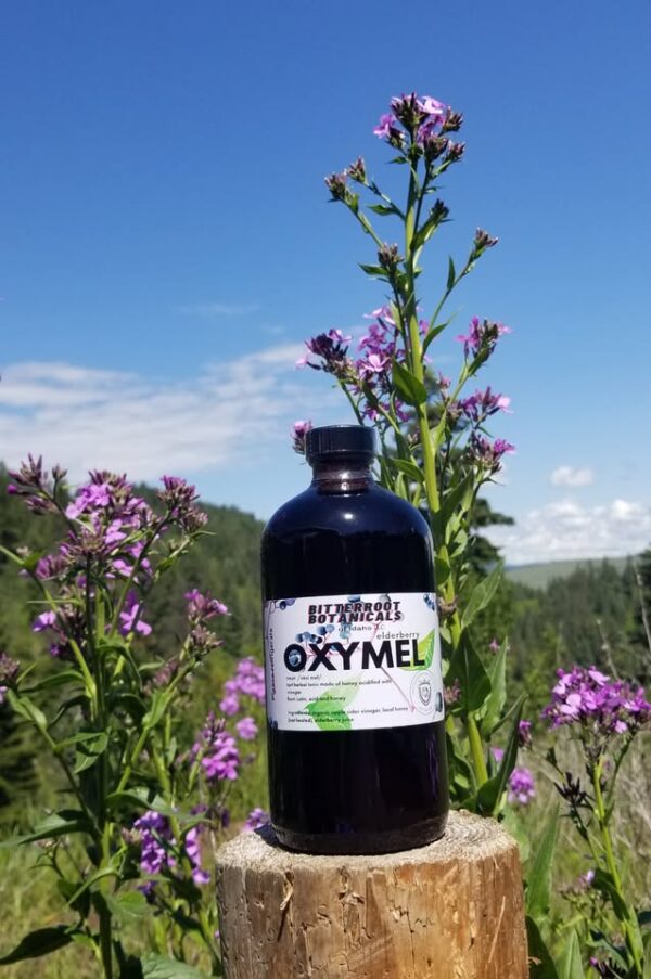 Elderberry Oxymel 18 ounce