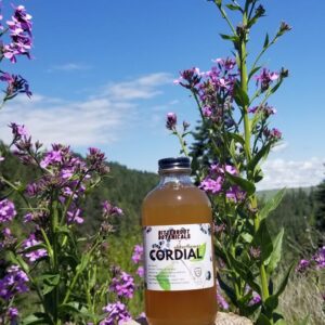 Elderflower Cordial 9 0unce