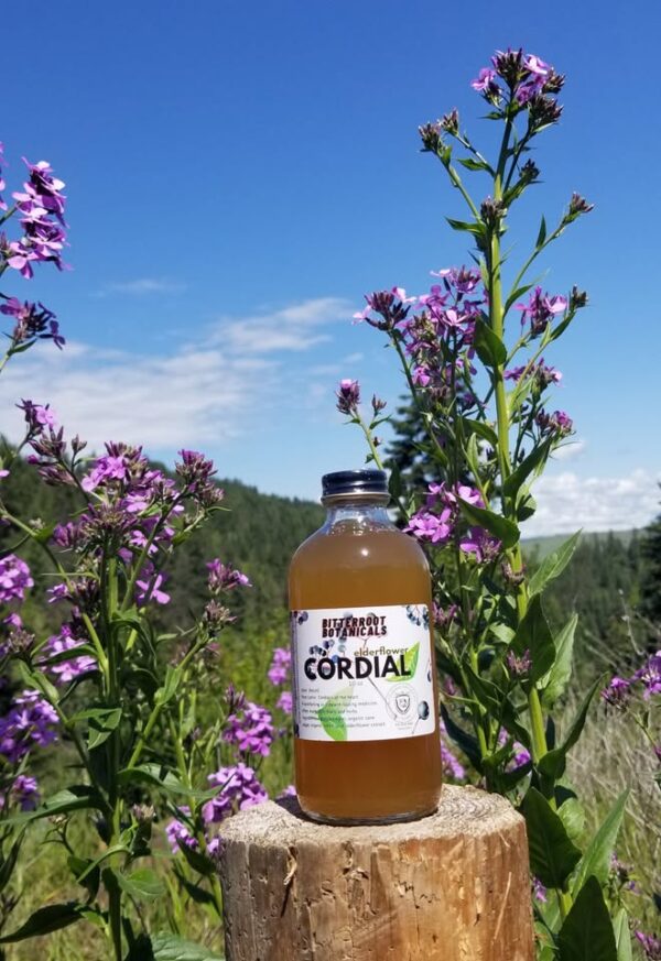 Elderflower Cordial 9 0unce